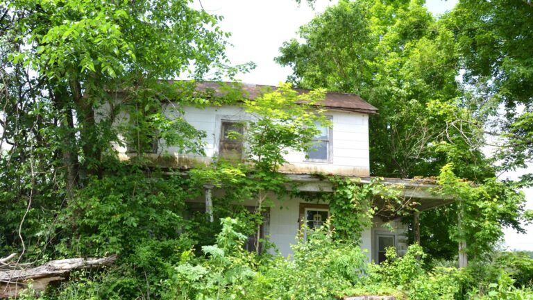 Maison abandonnée à donner en PACA : vérifier si elle est gratuite ?